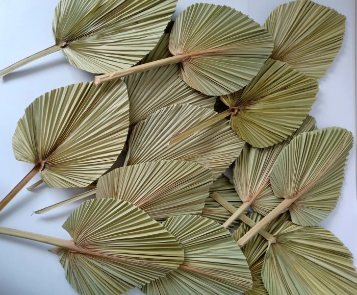 Dried palm leaves wall decor