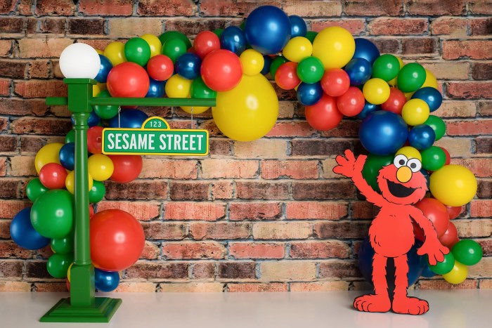 Sesame street wall decor