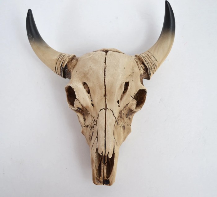 Cow skull wall decor