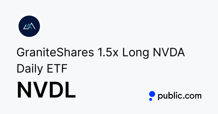 Nvdl stock price