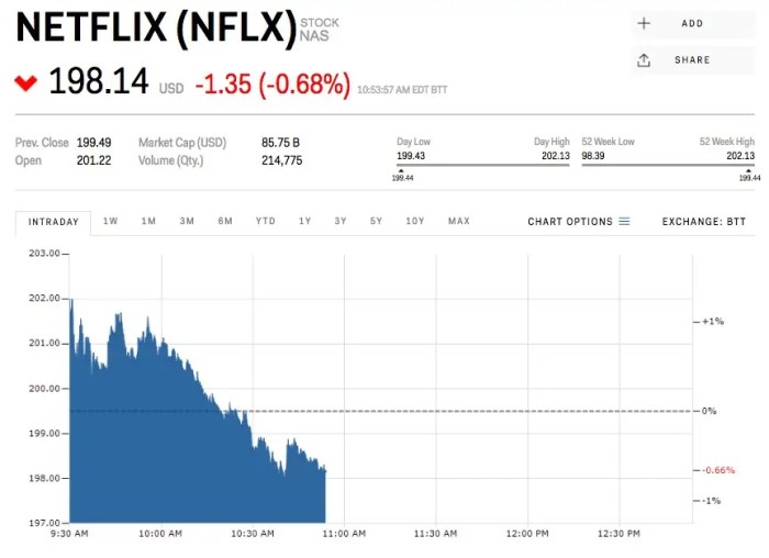 Netflix stock price